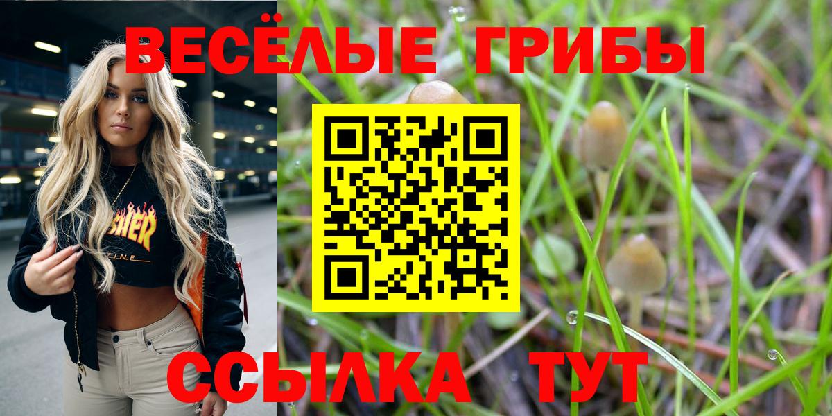 Псилоцибиновые грибы Magic Shrooms Кимры