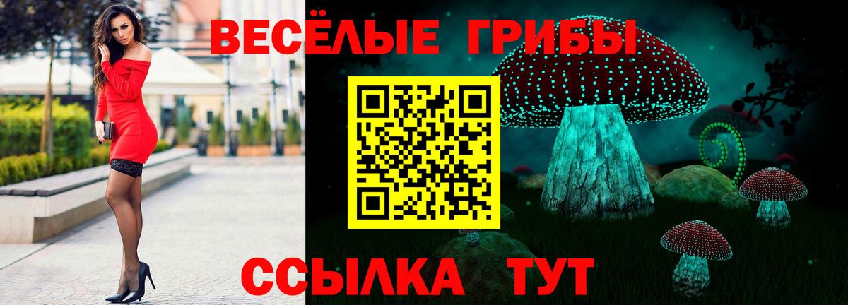 Галлюциногенные грибы MAGIC MUSHROOMS  Вход с VPN  Кимры 
